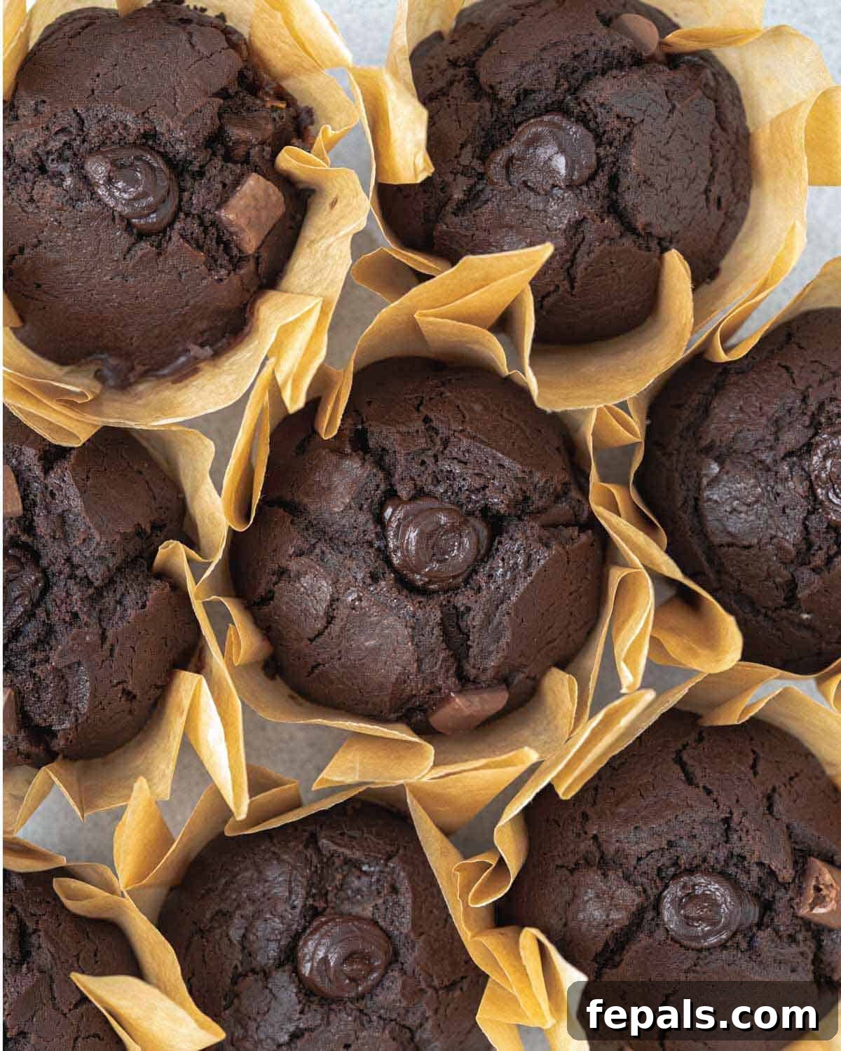 Olympian's Delight Chocolate Muffins 2 chocolate muffins lines in a cupcake liner next to each other, showcasing their fluffy texture and rich color.