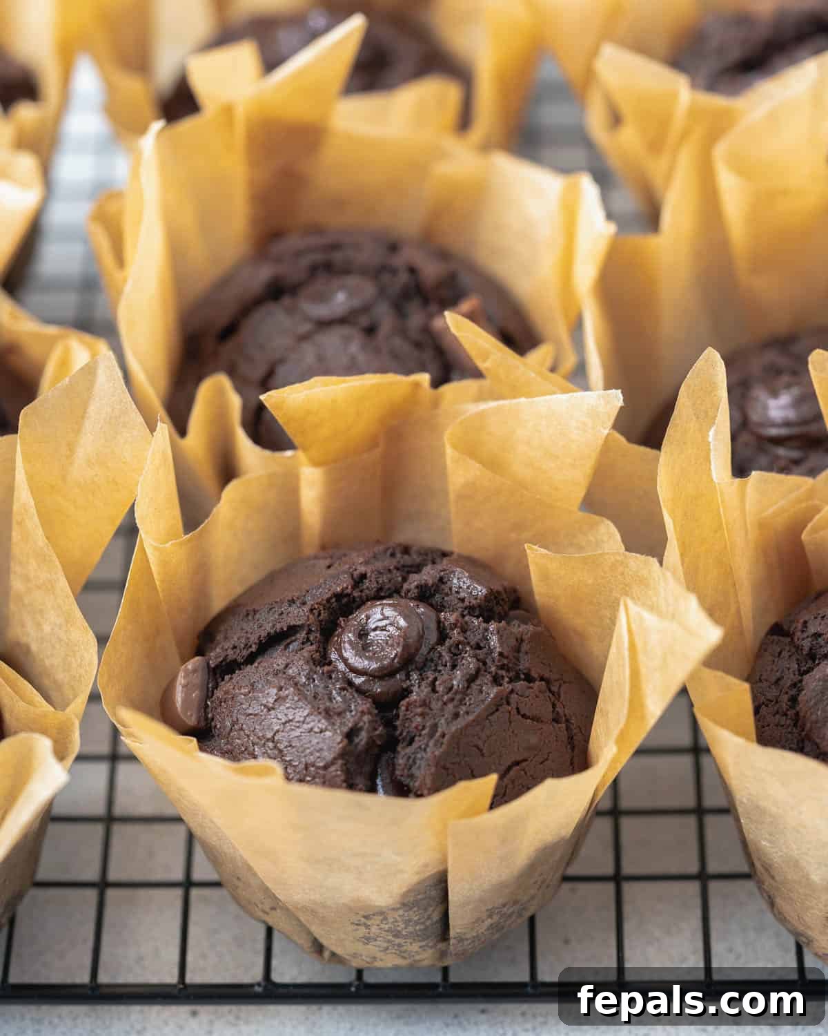 Olympian's Delight Chocolate Muffins 8 chocolate muffins in a cupcake liner, perfectly baked and set on a cooling rack, ready to be filled.