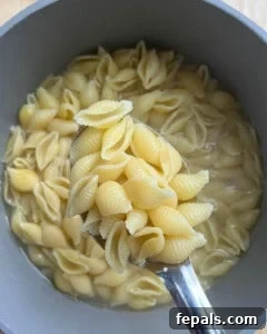 spoonful of cooked pasta.