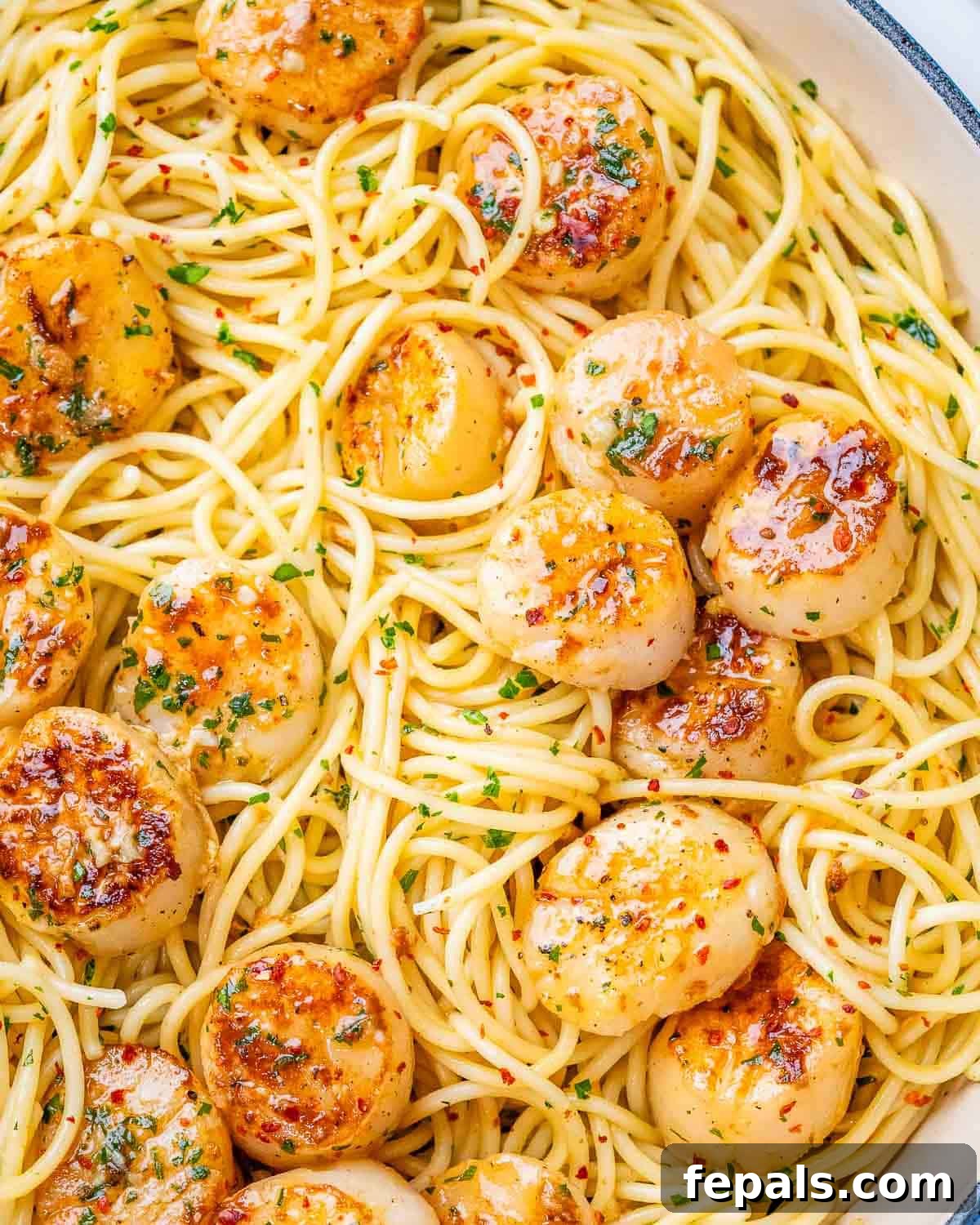 A close-up of scallop pasta with perfectly seared scallops and fresh herbs tossed with spaghetti in a light, glossy sauce.