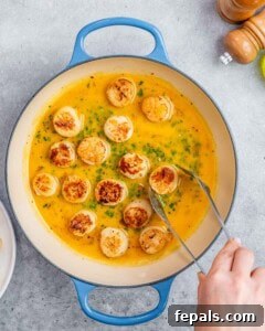 Tongs gently placing seared scallops into the pan with a bubbling sauce.