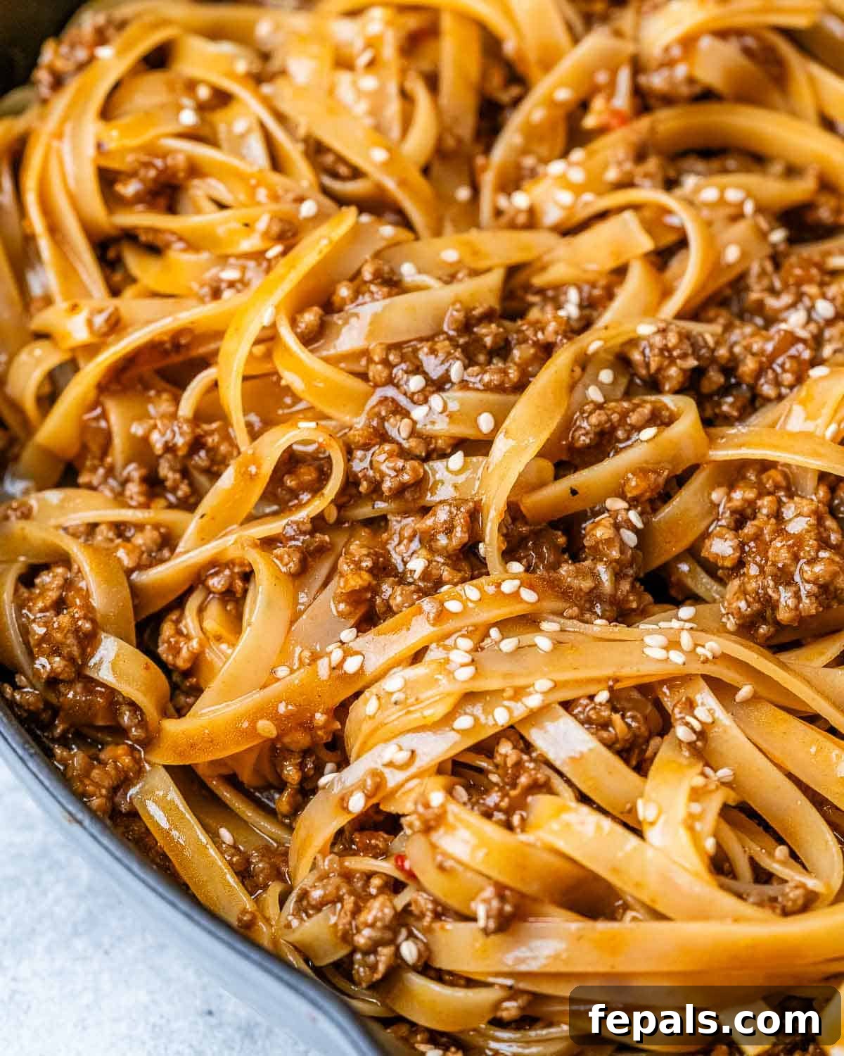 Close up view of wide noodles coated in sauce with ground beef, ready to be served.