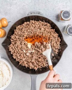 Hearty Beef & Rice Medley 14 Stirring in spices to ground beef in a skillet.