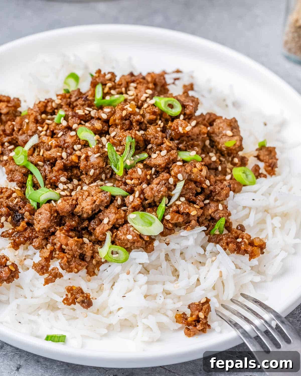 Hearty Beef & Rice Medley 10 A white plate with rice and ground beef with a fork on the side.