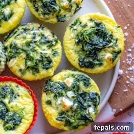 A top-down view of savory egg muffins arranged on a plate, ideal for a quick and nutritious breakfast.