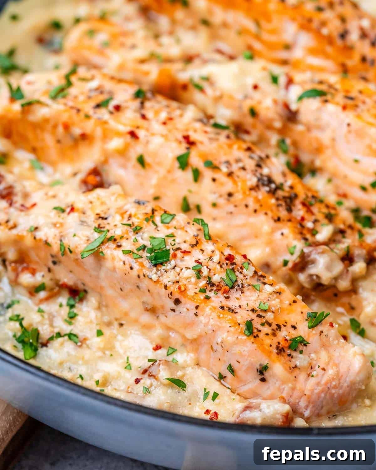 Proposal Salmon 8 Cooked salmon fillets glistening in a creamy sauce, ready to be served.