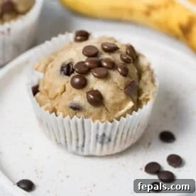 A single almond flour banana muffin on a plate, topped with chocolate chips, showcasing its soft texture.