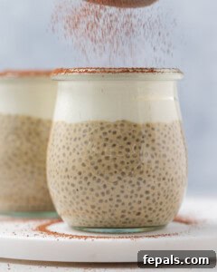 cocoa powder being added over chia pudding.