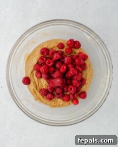 Fresh raspberries are added to the mixed muffin batter in a bowl.