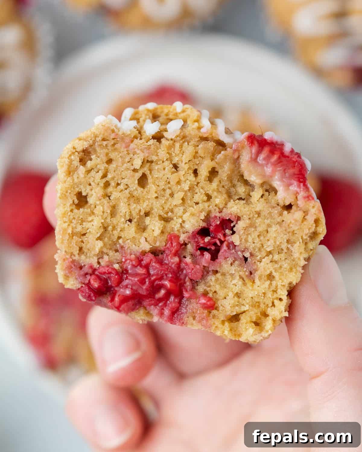 A hand holding a perfectly baked raspberry muffin, split in half to reveal its tender crumb and raspberry inclusions.