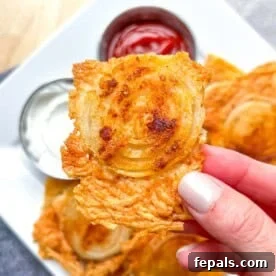 hand holding a crispy onion ring chips.