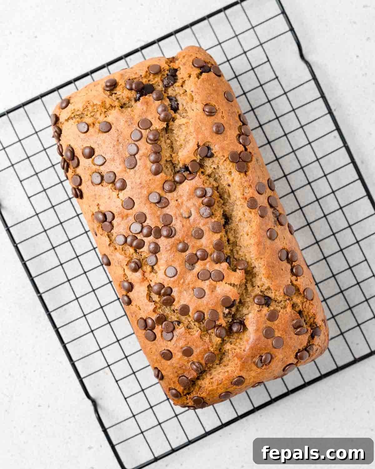Power Banana Loaf 2 Deliciously moist protein banana bread cooling on a wire rack, perfectly golden brown with visible chocolate chips, ready to be sliced and enjoyed.