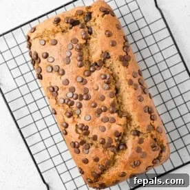 Moist protein banana bread with visible chocolate chips, a detailed close-up shot on a wire rack.