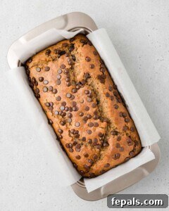 Power Banana Loaf 16 A freshly baked protein banana bread loaf, perfectly golden brown, still in its loaf pan immediately after being removed from the oven.