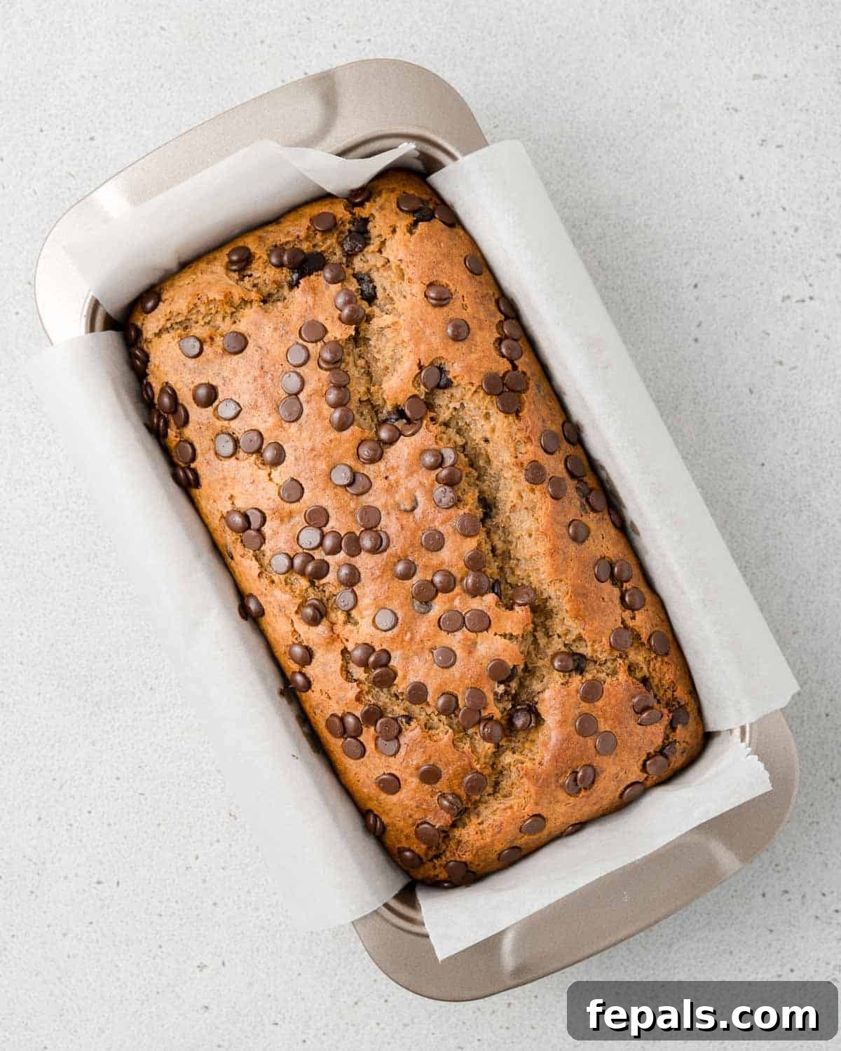 Power Banana Loaf 8 A beautifully baked protein banana bread, still warm and inviting, resting in its loaf pan after coming out of the oven.