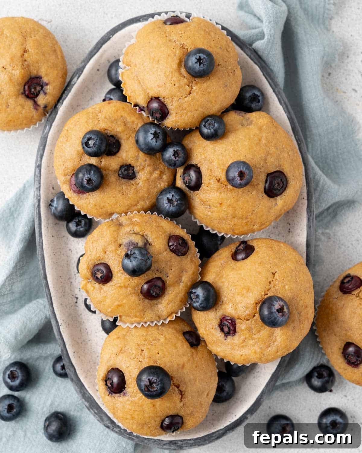 Moist Blueberry Cottage Cheese Muffins 2 six muffins on a platter with blueberries.
