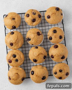 Freshly baked muffins cooling on a wire rack.