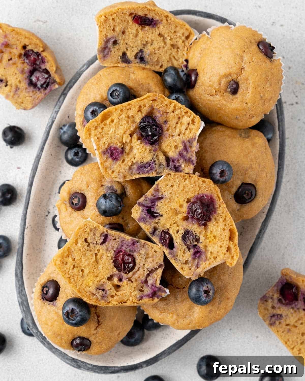 A beautiful display of cottage cheese blueberry muffins on a white dish, with some sliced in half to reveal their moist interior and plump blueberries, garnished with fresh berries.