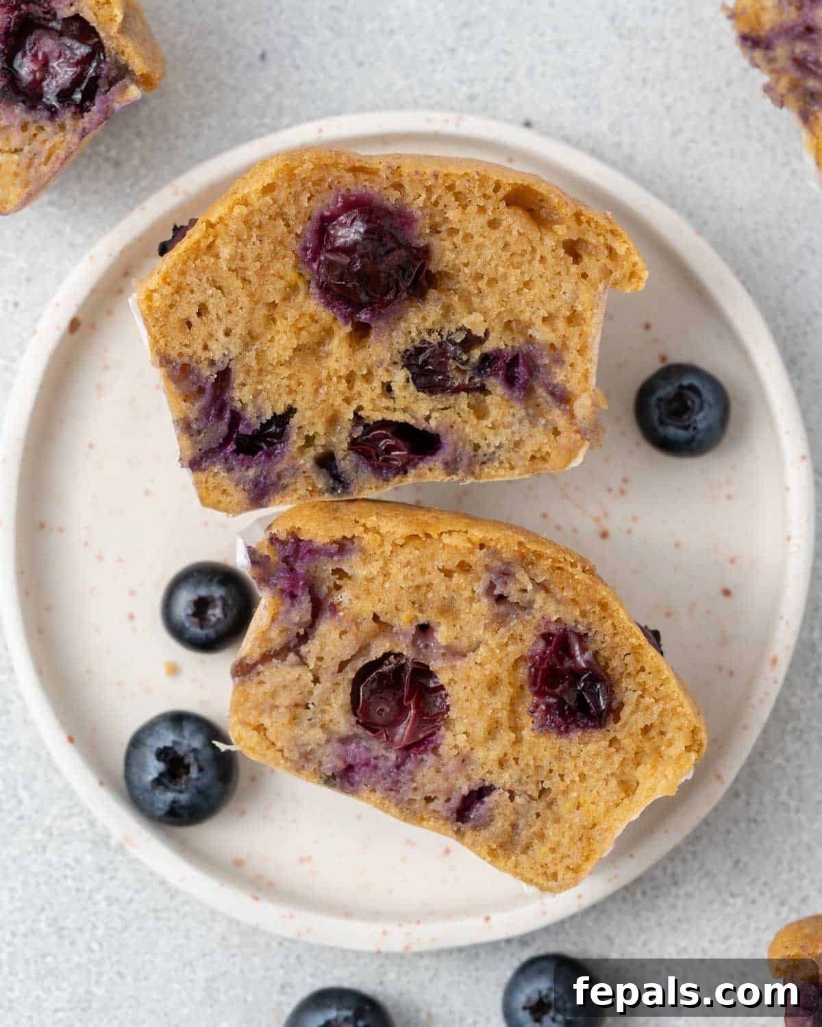 A single cottage cheese blueberry muffin, perfectly sliced in half on a plate, revealing its moist crumb and tender blueberries.