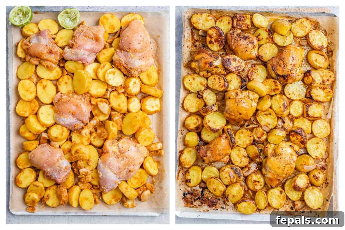 Process shot of chicken and potatoes perfectly arranged on a sheet pan, ready to be baked to golden perfection.