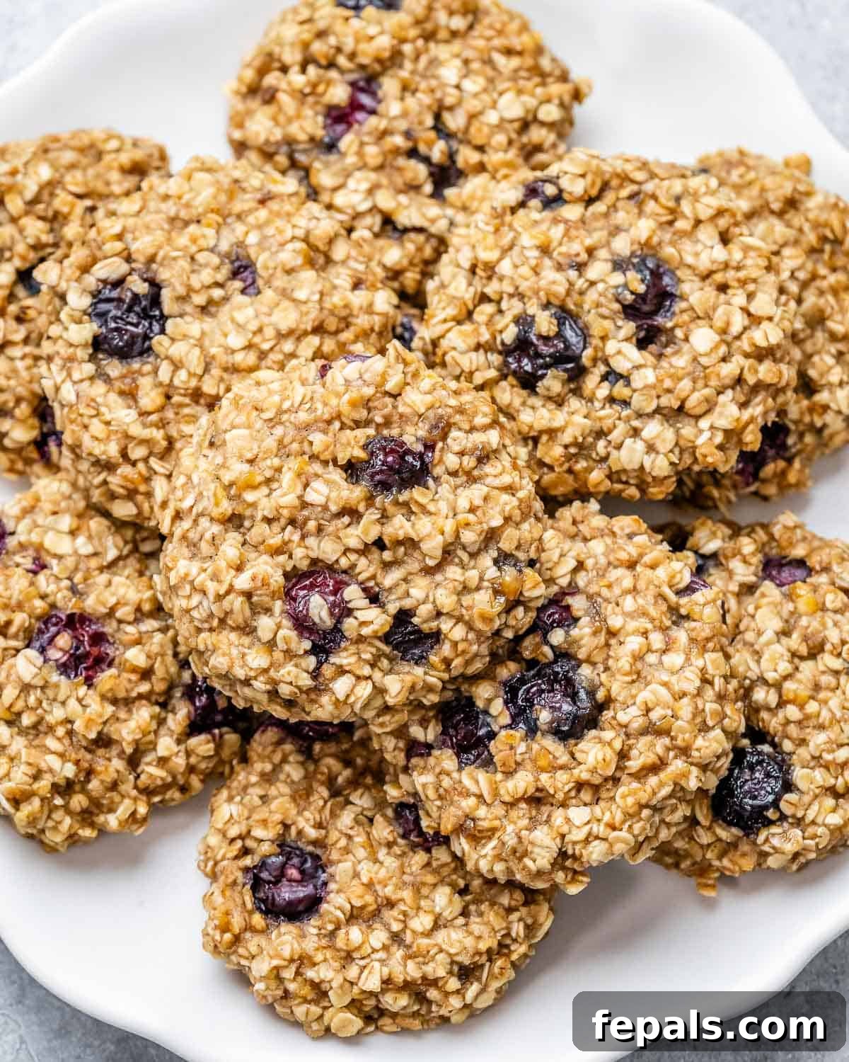 Soft-Baked Blueberry Oatmeal Cookies 2 Plate of freshly baked blueberry oatmeal cookies, showing their golden brown edges and soft, chewy centers with visible oats and blueberries.