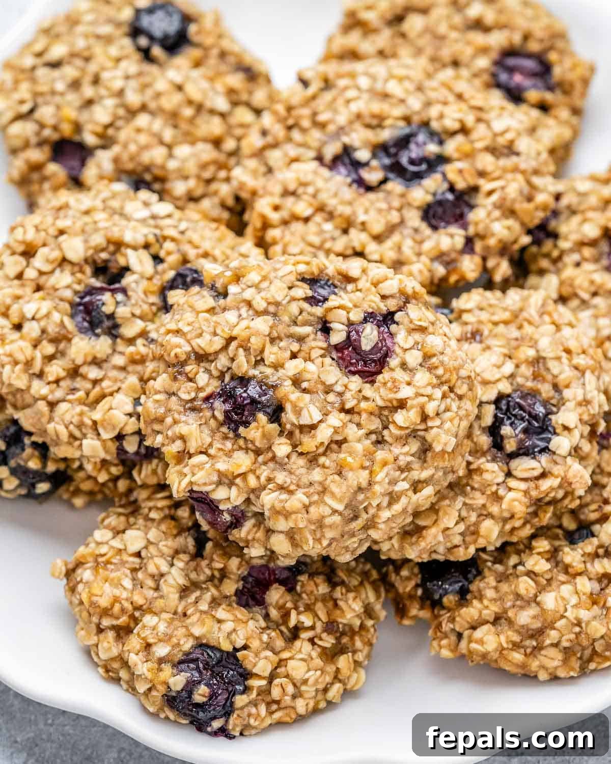 Soft-Baked Blueberry Oatmeal Cookies 11 A simple white plate with a single, perfectly baked blueberry oatmeal cookie, showing its inviting texture.