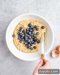 Soft-Baked Blueberry Oatmeal Cookies 16 blueberry added over oatmeal cookie mixture.