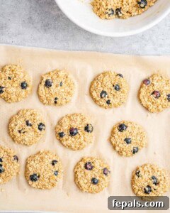 Soft-Baked Blueberry Oatmeal Cookies 18 oatmeal cookie placed on a sheet pan before baking.