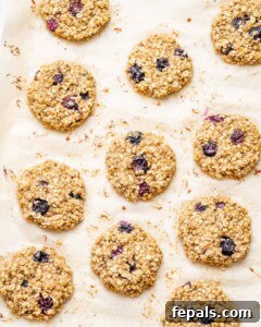 Soft-Baked Blueberry Oatmeal Cookies 19 baked oatmeal cookies with blueberries on a pan.