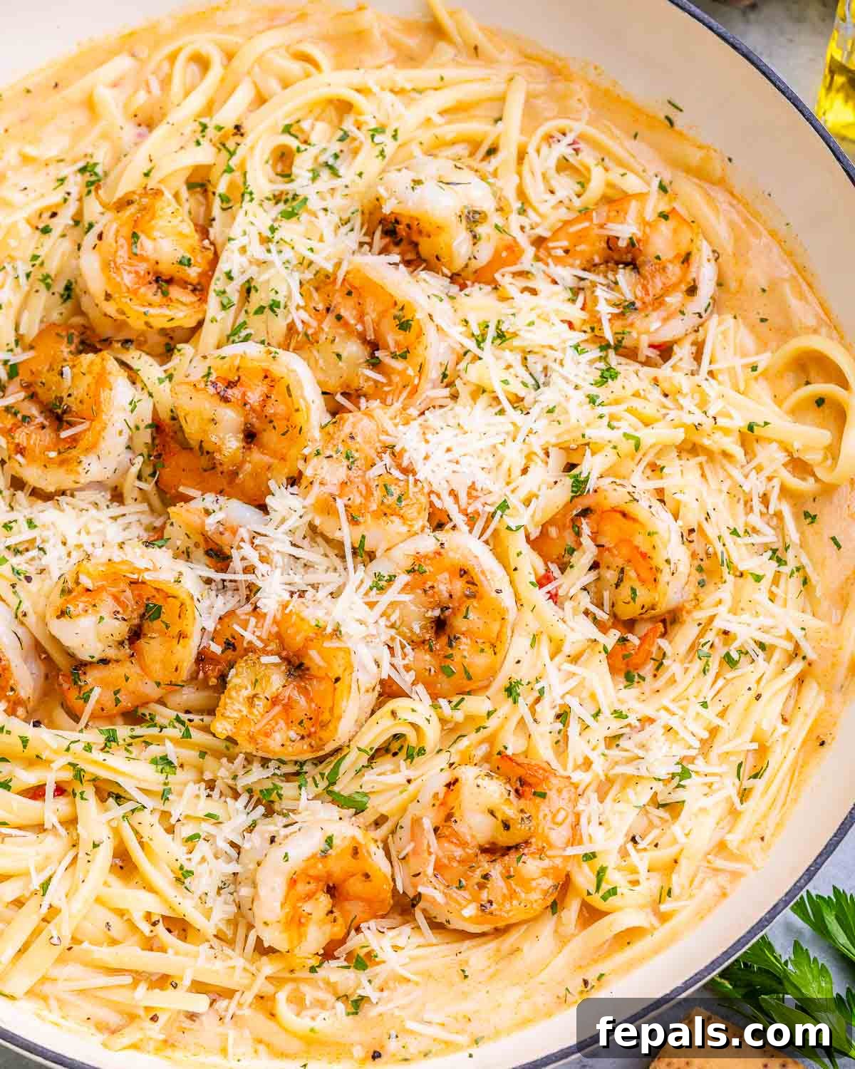 Decadent Marry Me Shrimp Pasta 2 Overhead view of creamy Marry Me Shrimp Pasta garnished with grated parmesan and fresh parsley.