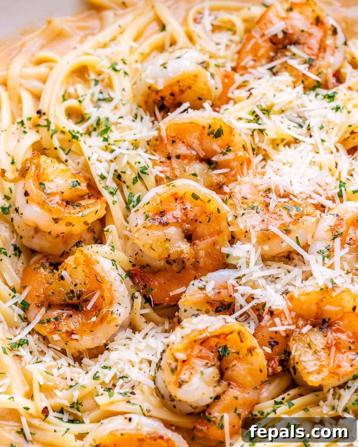 Decadent Marry Me Shrimp Pasta 10 Close-up of the creamy shrimp pasta in the skillet, highlighting the herbs, sun-dried tomatoes, and sauce.
