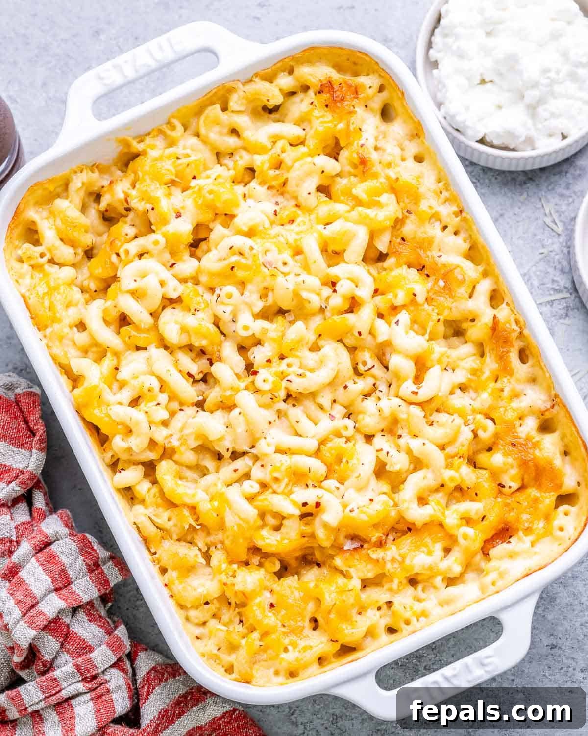 Velvet Cottage Mac and Cheese 2 A golden, perfectly baked mac and cheese casserole dish, ready to be served.