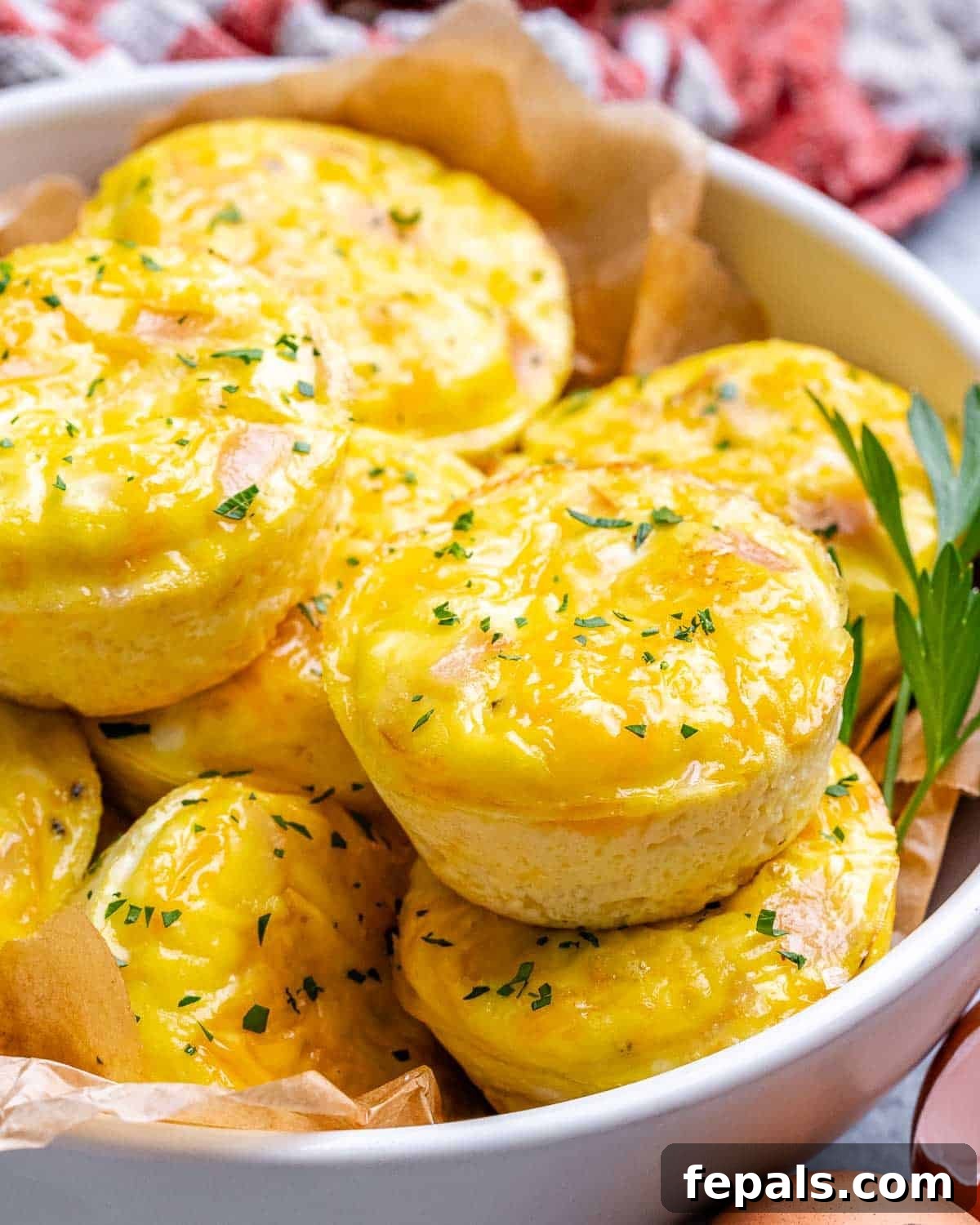 Protein-Packed Cottage Cheese Egg Cups 2 Delicious cottage cheese egg bites served in a white round bowl, garnished for freshness.