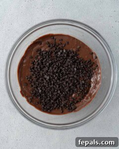 Mixing bowl filled with chocolate batter and dark chocolate chips just added on top.