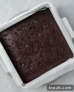 Overhead view of baked brownies in a parchment-lined pan with chocolate chips scattered across the surface.