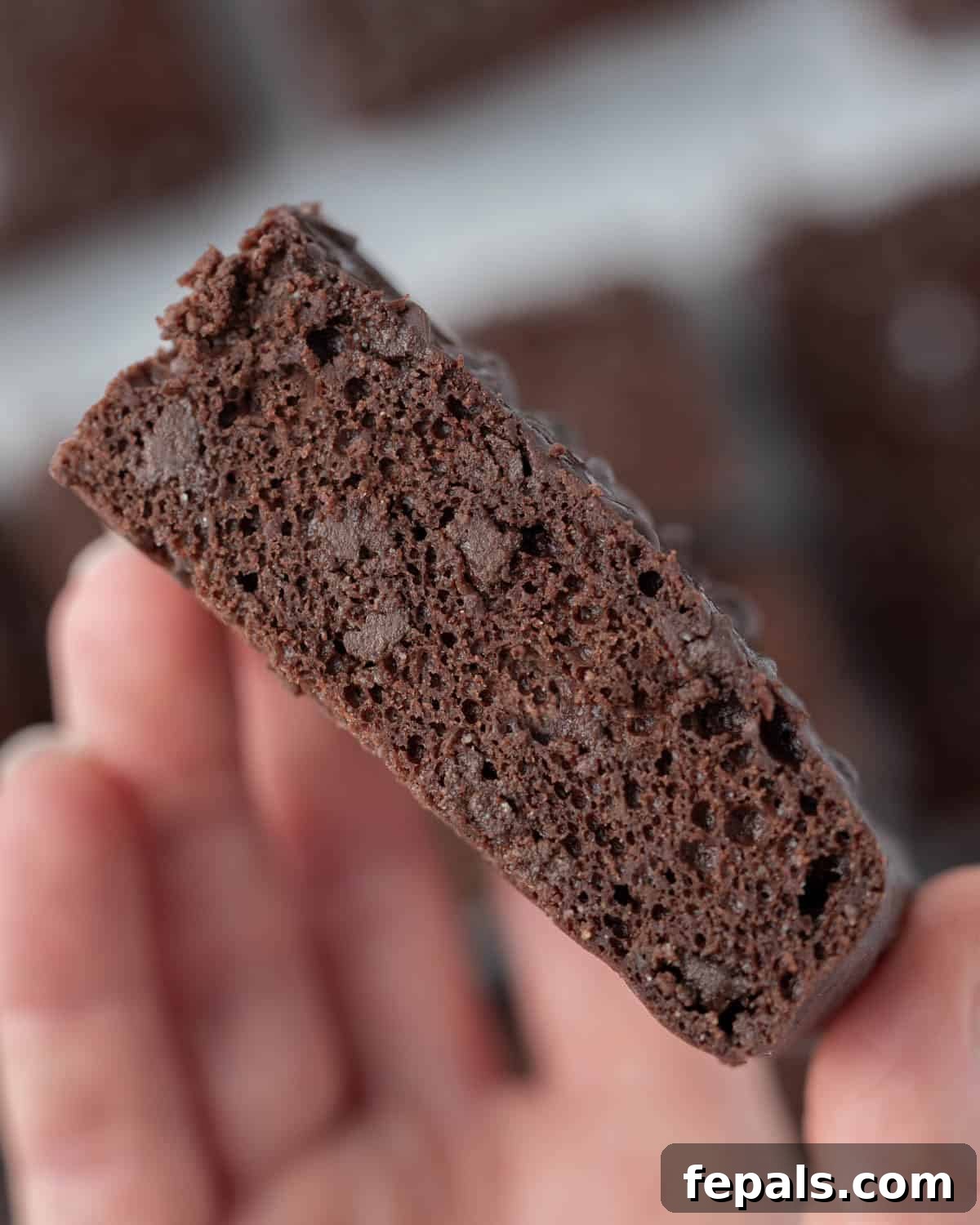 Secret Ingredient Greek Yogurt Brownies 17 A side view of a brownie piece being held up close, showing its airy yet rich crumb.