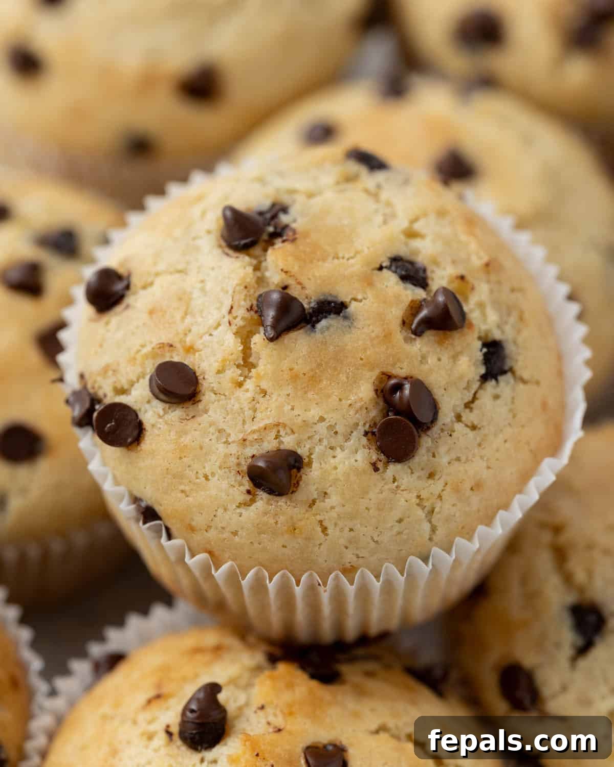 Close-up of a freshly baked Greek Yogurt Chocolate Chip Muffin with a golden top and melted chocolate chips, resting on a cooling rack.