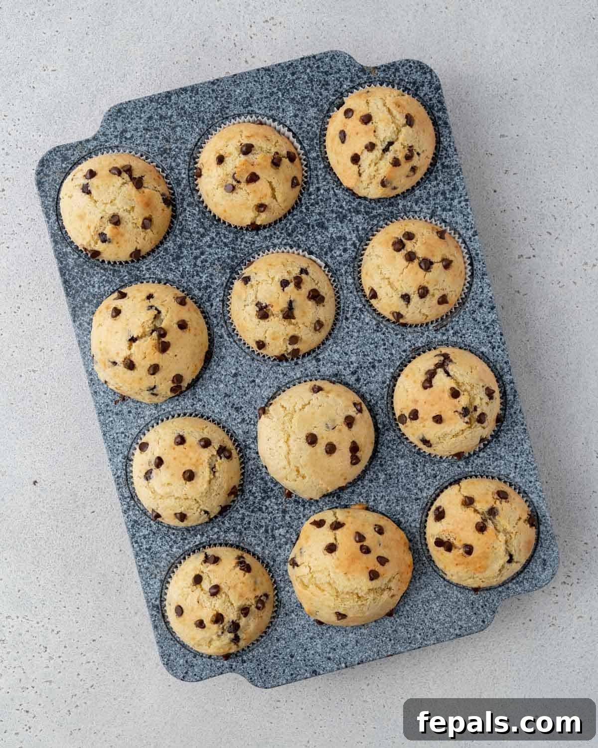 Twelve muffins cooling on a wire rack, spaced evenly and photographed from above.