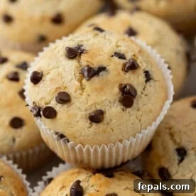 Overhead view of two chocolate chip muffins in white liners, stacked slightly to show texture.
