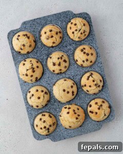 Twelve muffins cooling on a wire rack, spaced evenly and photographed from above.
