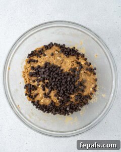 Chocolate chips were added over the peanut butter and oat mixture.