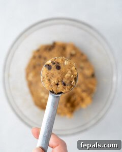 hand holding a scoop of peanut butter oat mix.