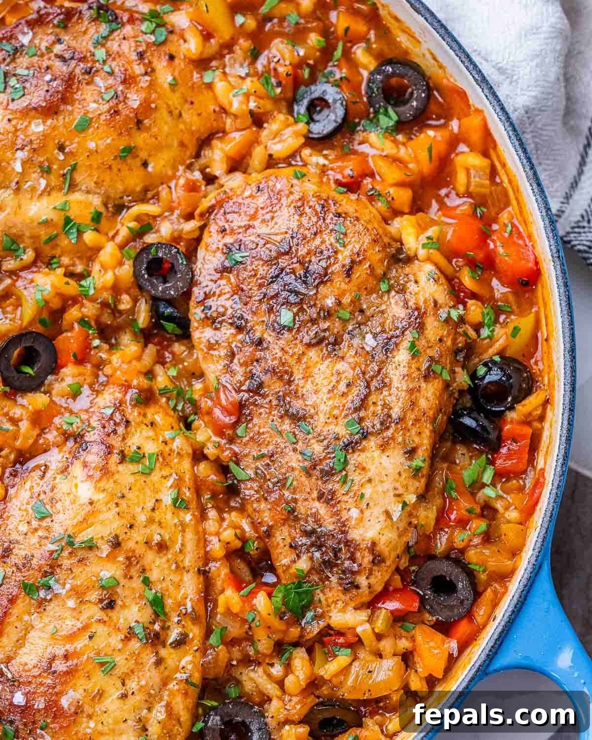 Overhead close-up of Spanish chicken and rice in a skillet, showing tender chicken, vibrant red and yellow peppers, and black olives, with fresh parsley garnish.