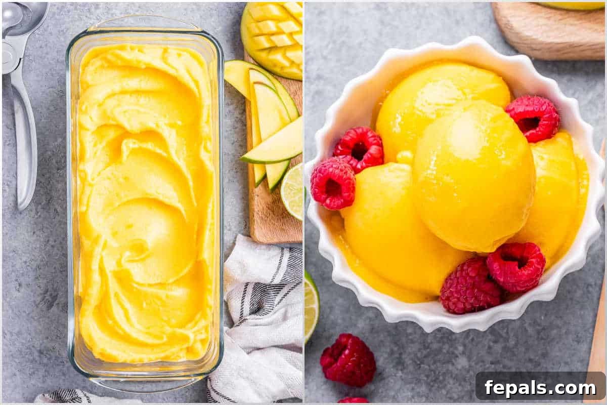 Tropical Mango Sorbet 6 Process of transferring the freshly blended mango sorbet to a container for freezing, and then serving it in a elegant bowl once firm.