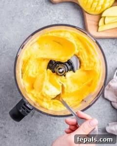 Ingredients for mango sorbet - frozen mango, honey, and lime juice - in a food processor, before blending.