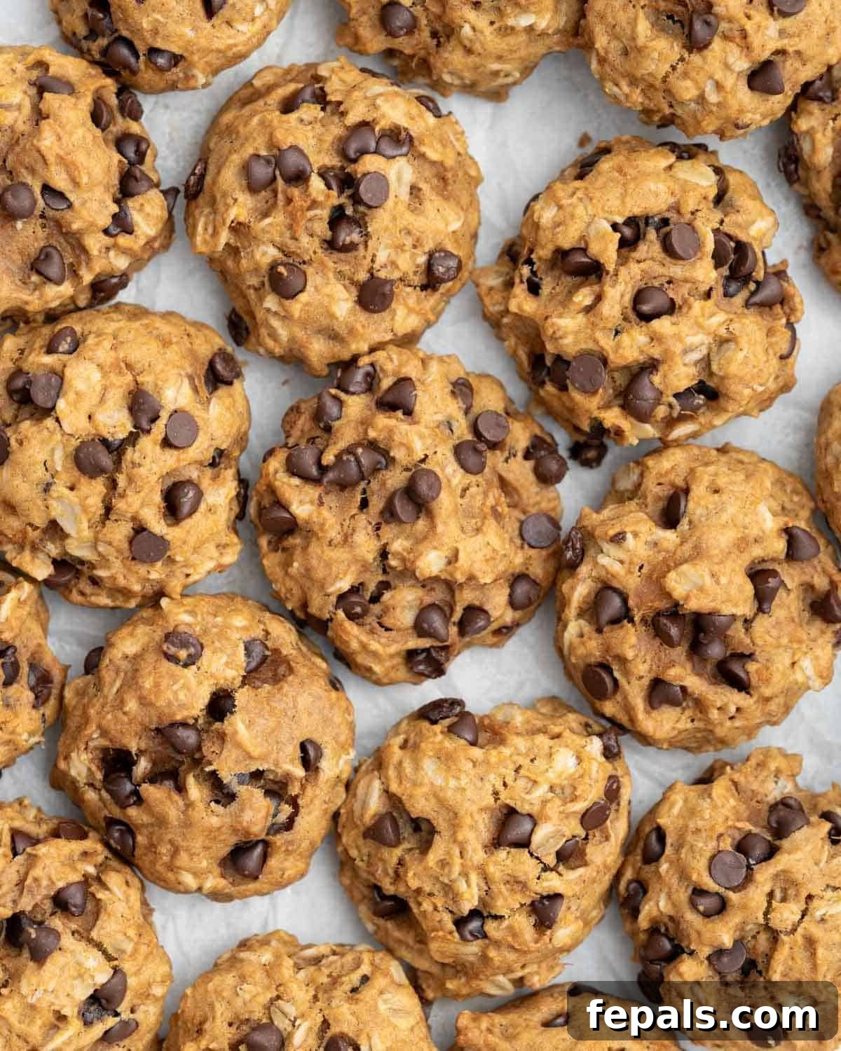 Delicious, golden-brown sweet potato cookies on a rustic wooden surface, ready to be enjoyed.