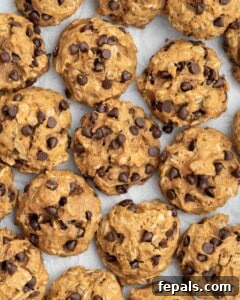 Sweet potato cookies displayed on a flat surface, some with a bite taken out.