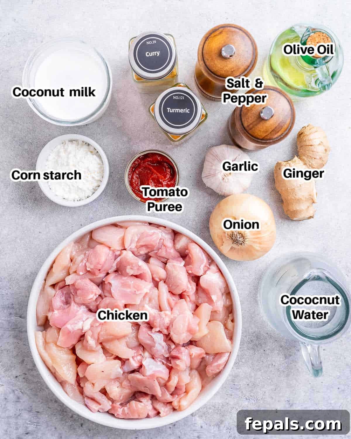 Various fresh ingredients neatly arranged, ready for slow cooker chicken curry preparation, including chicken, onions, ginger, garlic, and cans of coconut milk and tomato puree.