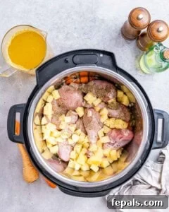 Raw chicken pieces, potatoes, carrots, celery, and broth added into the Instant Pot before cooking.