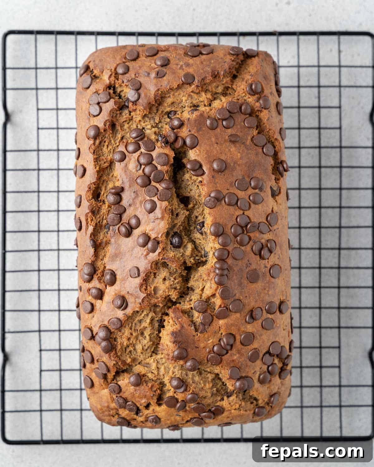 A freshly baked loaf of Peanut Butter Chocolate Chip Banana Bread, cooling on a wire rack, ready to be enjoyed.